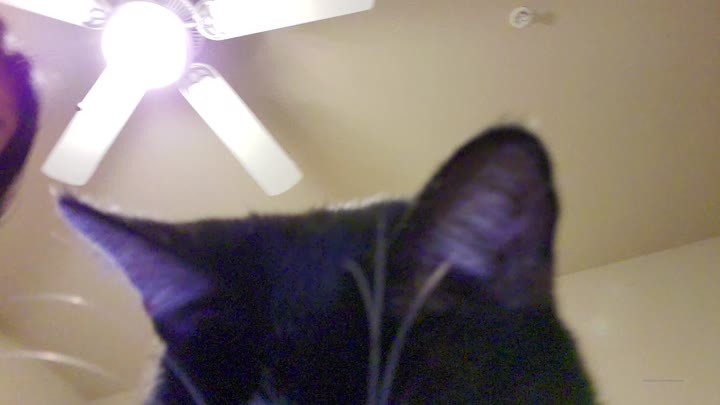 bawdy Ember Snow solo Vid Exposed