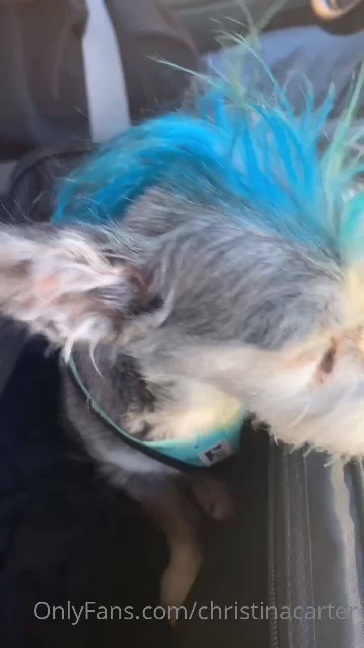 Epic Serene Christinacarter Fansly leaked FullVID