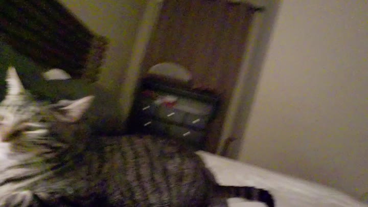 bisexual Ember Snow Leak full vid