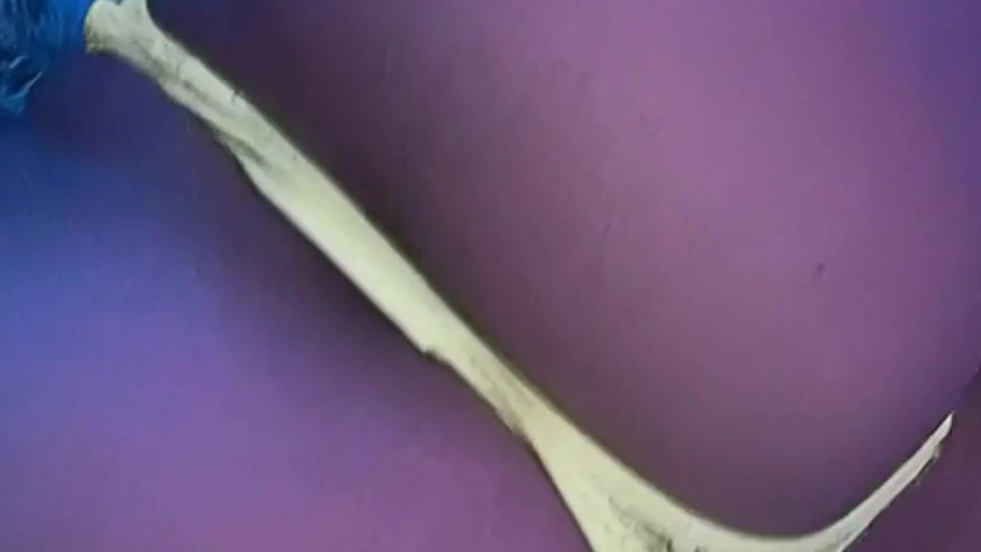 Waifuumia leaked nudes x Exposed