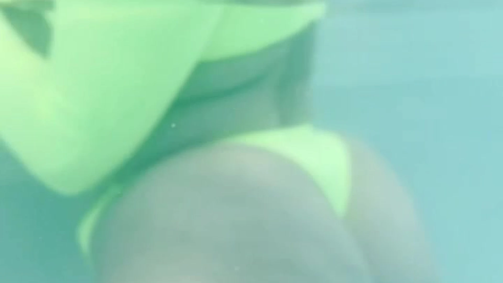bigthot Siri Dahl fuck