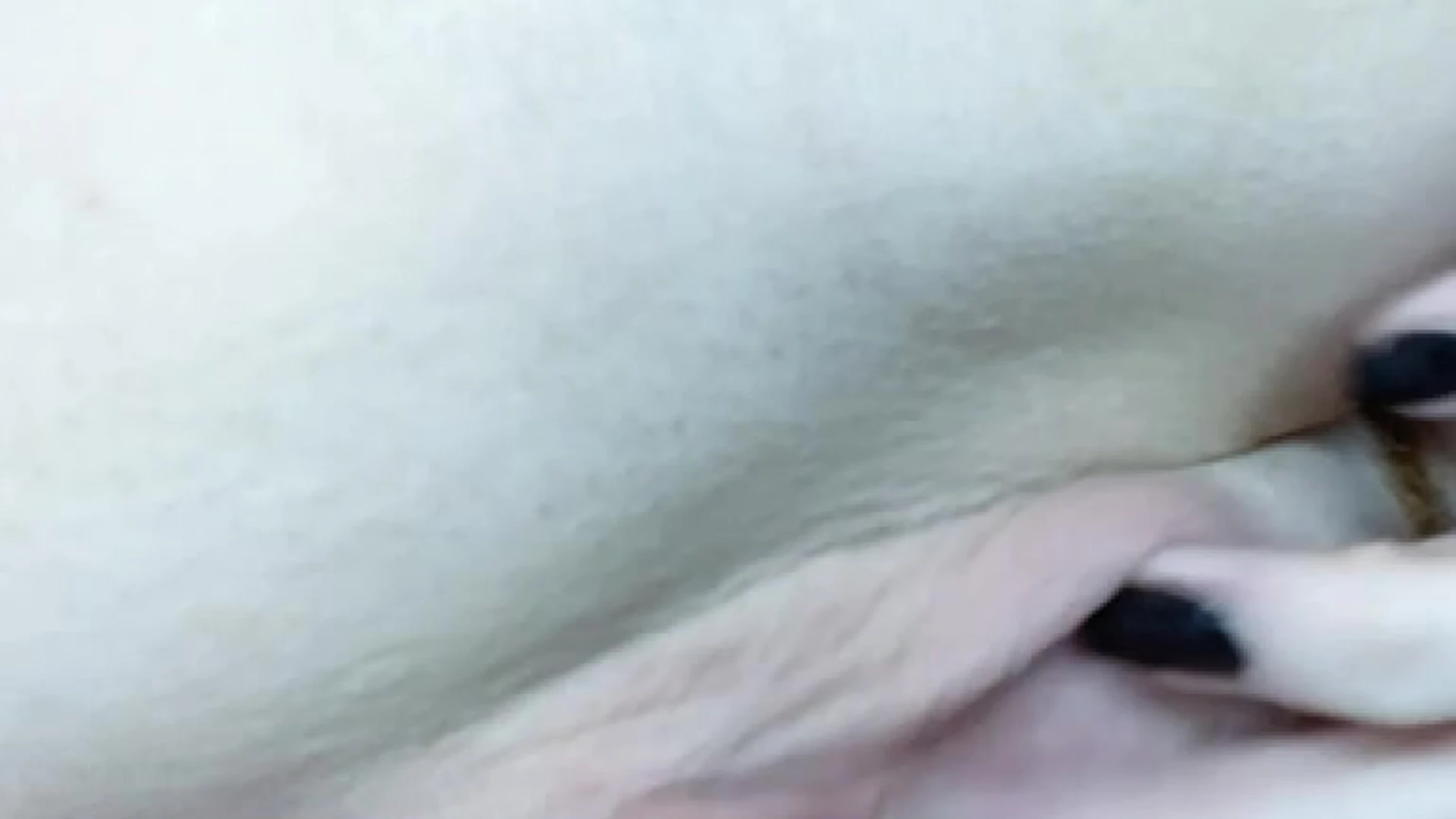 old Dripping Georgie Lyall Patreon leak