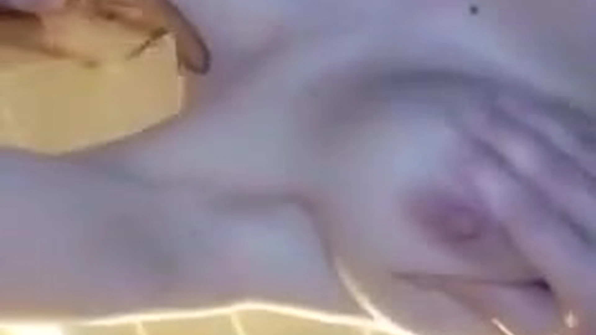 Allison Parker face