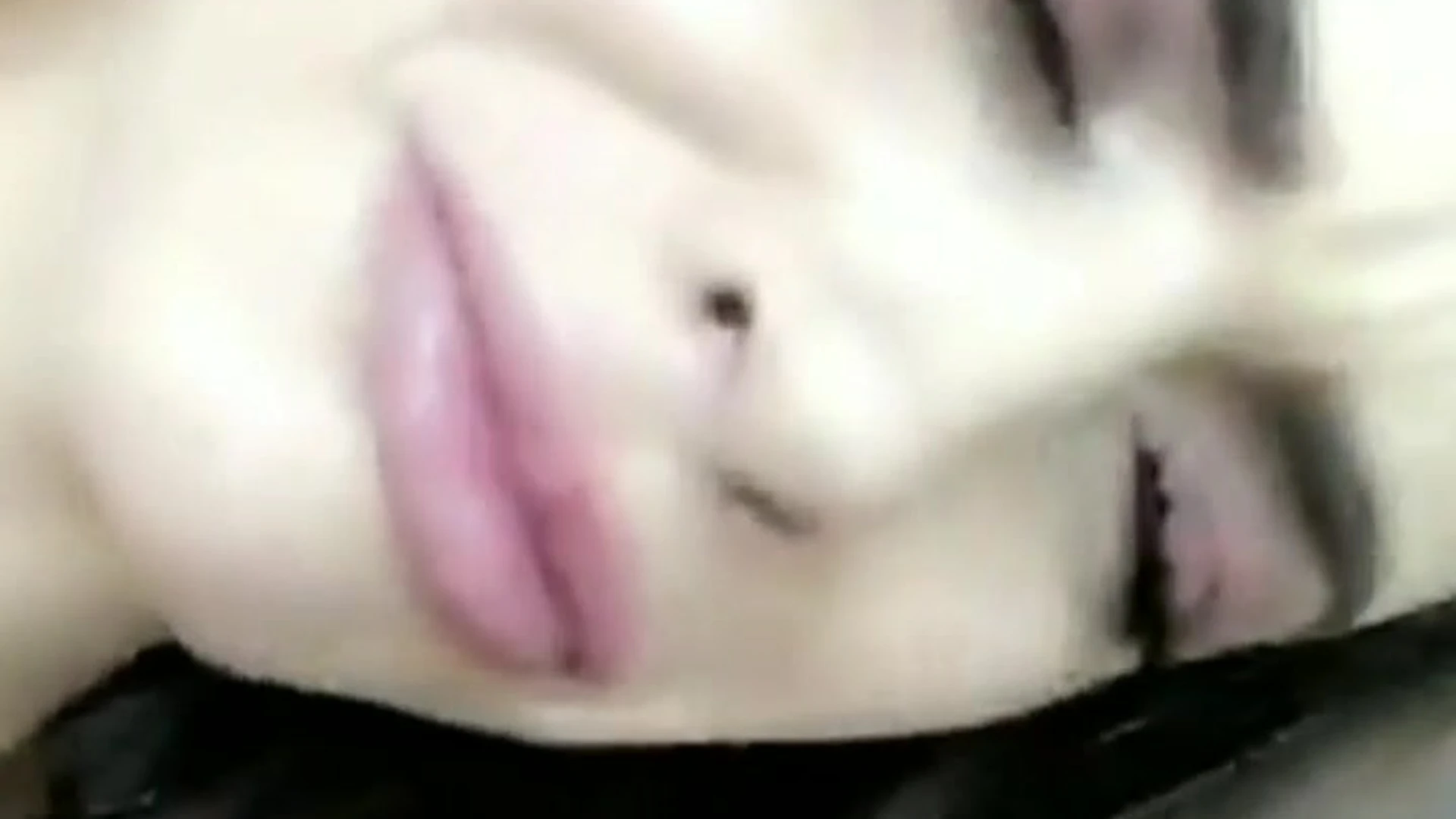 Sensational cumslut Allison Parker anal fullvideo