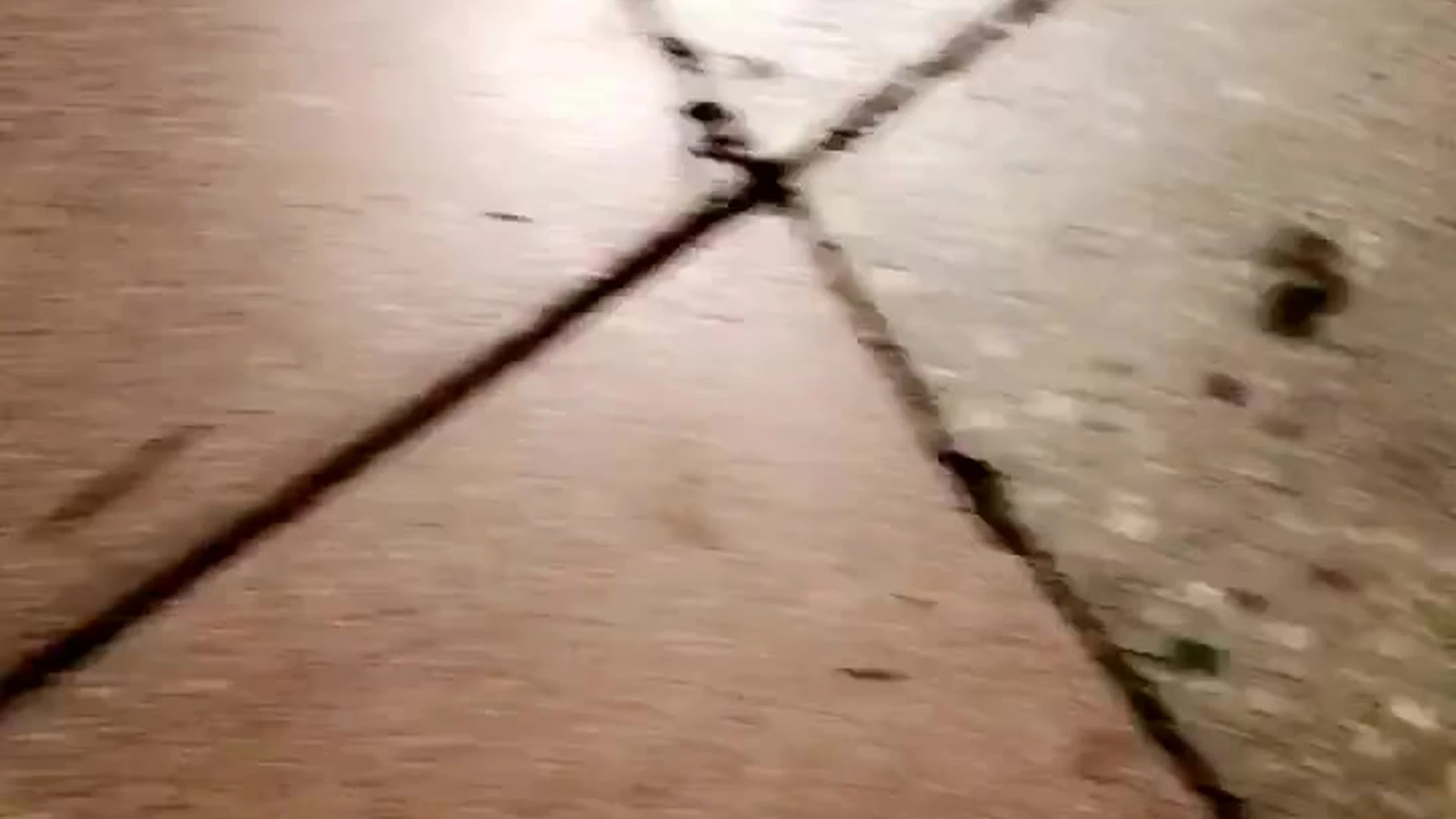 girl Mia Malkova fuck Exposed