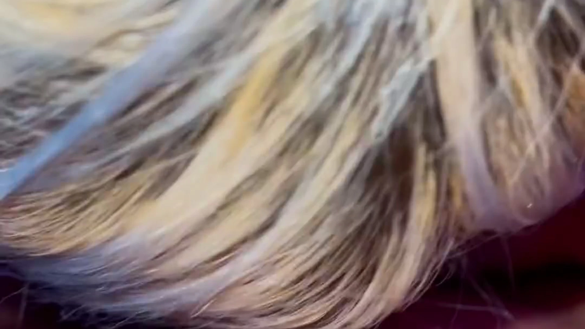 amazing Waifuumia nude tits video full