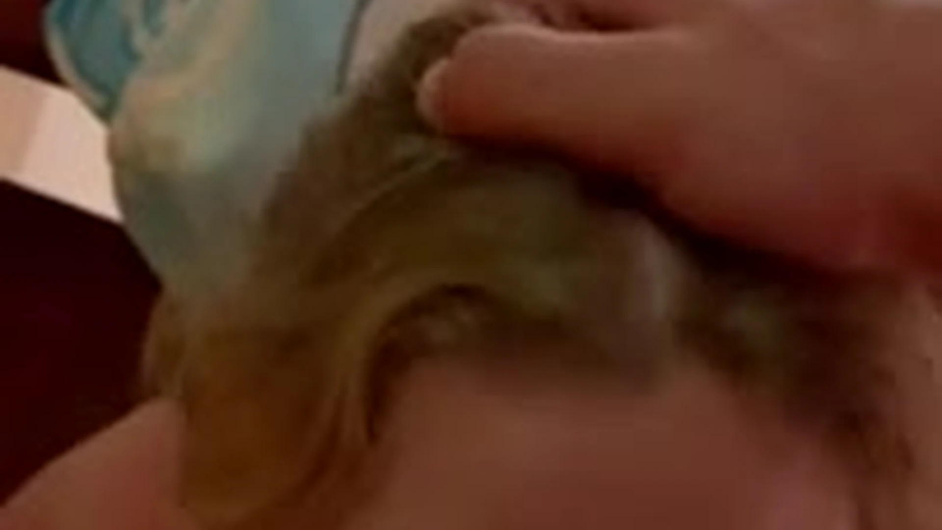 thoughtful Brandy Renee Leaked Onlyfans VIDFULL Epic