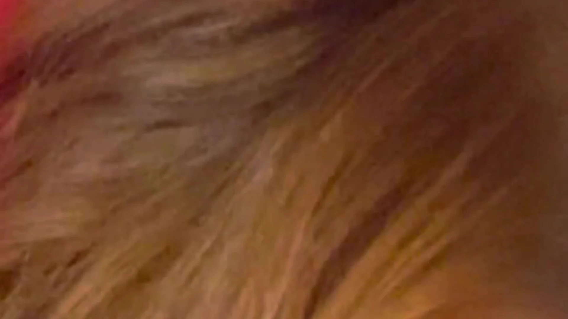 waitress Elly Clutch fucked Exclusive full video Epic