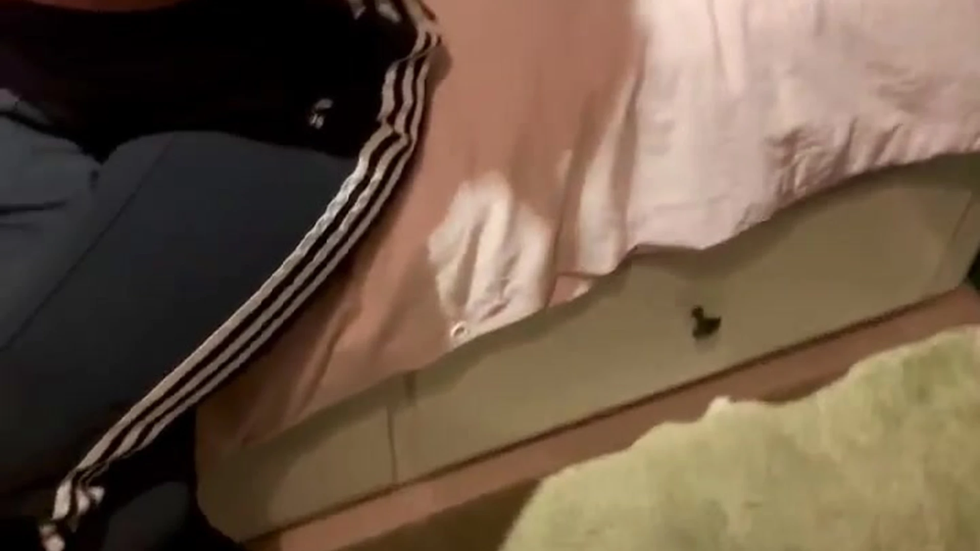 racy Hailey Rose Onlyfans leaked Full Clip Exposed