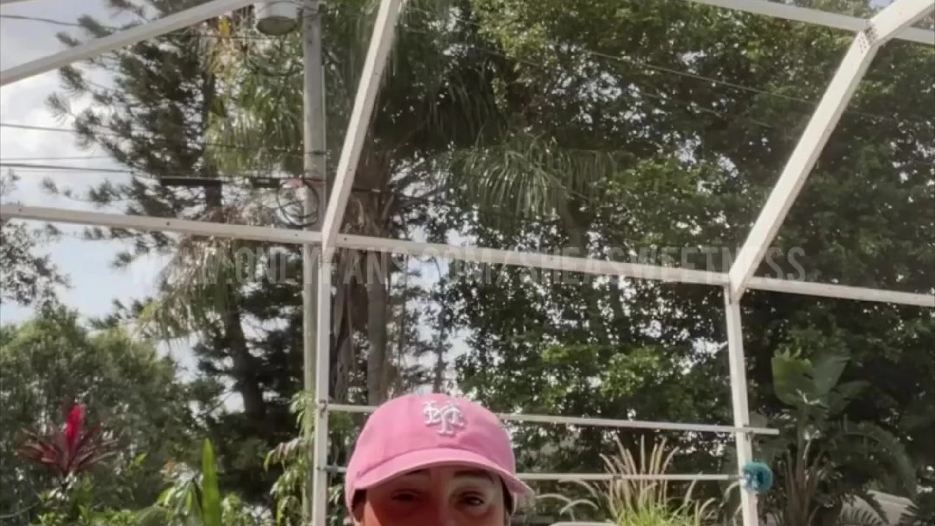Shea Sweetness clips