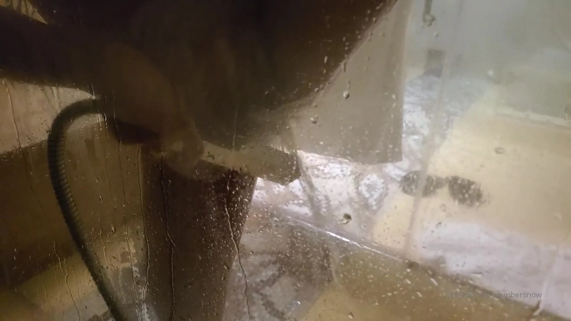 slut sucking Ember Snow Leak