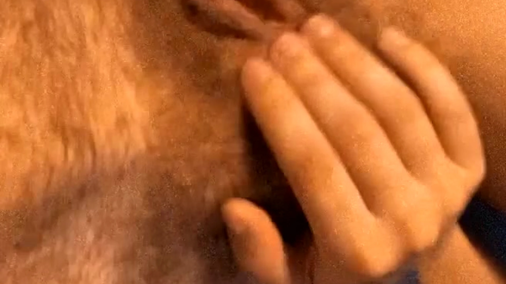 Sensational hen Bby Venus sex tape VIDFULL