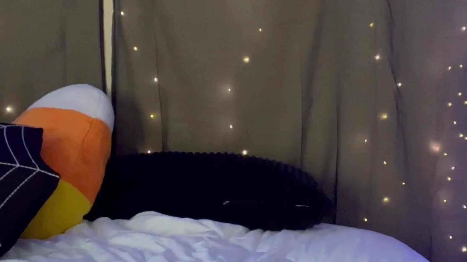 Exposed imsadspice fap