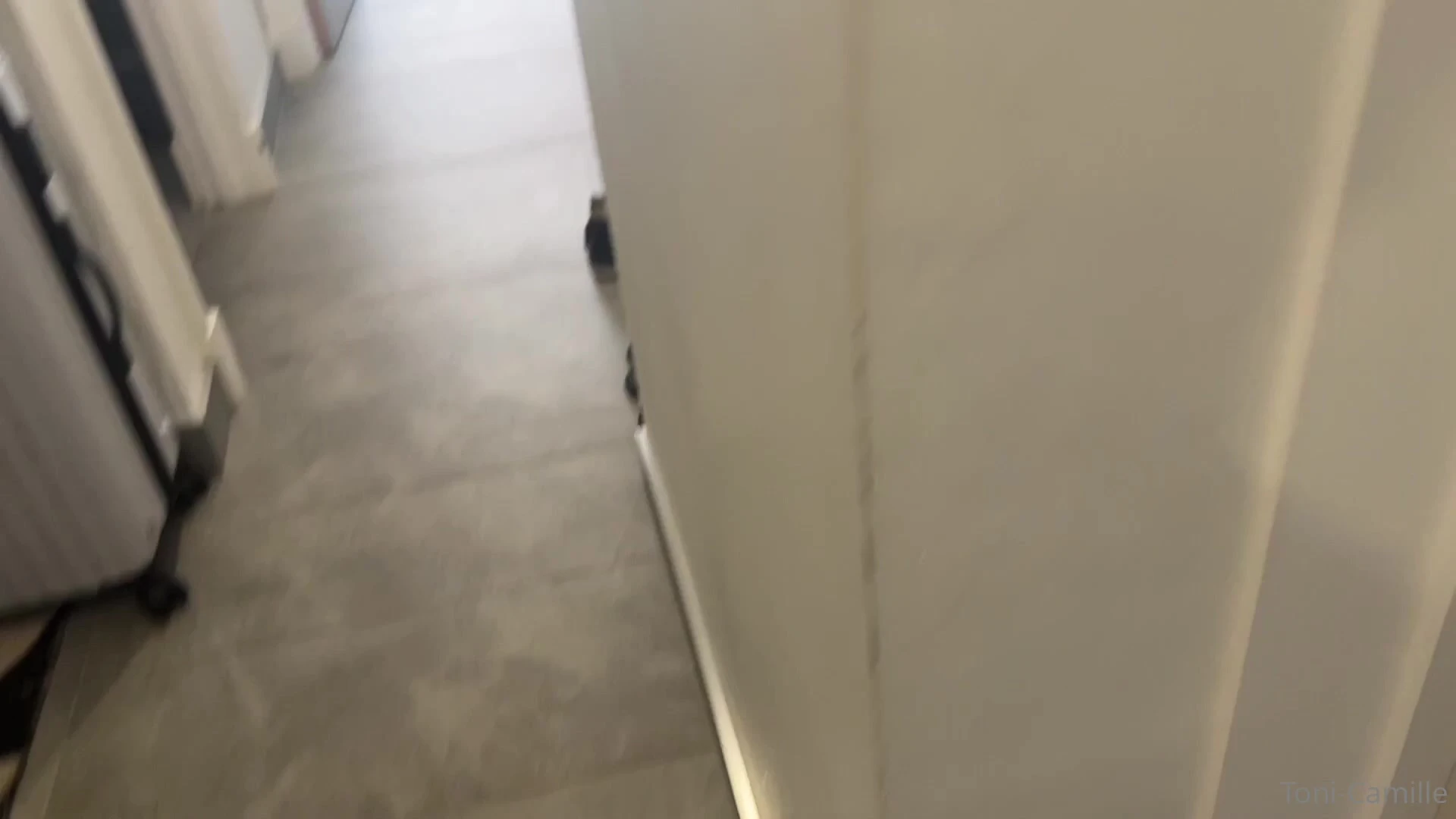 Toni Camille tits  Video