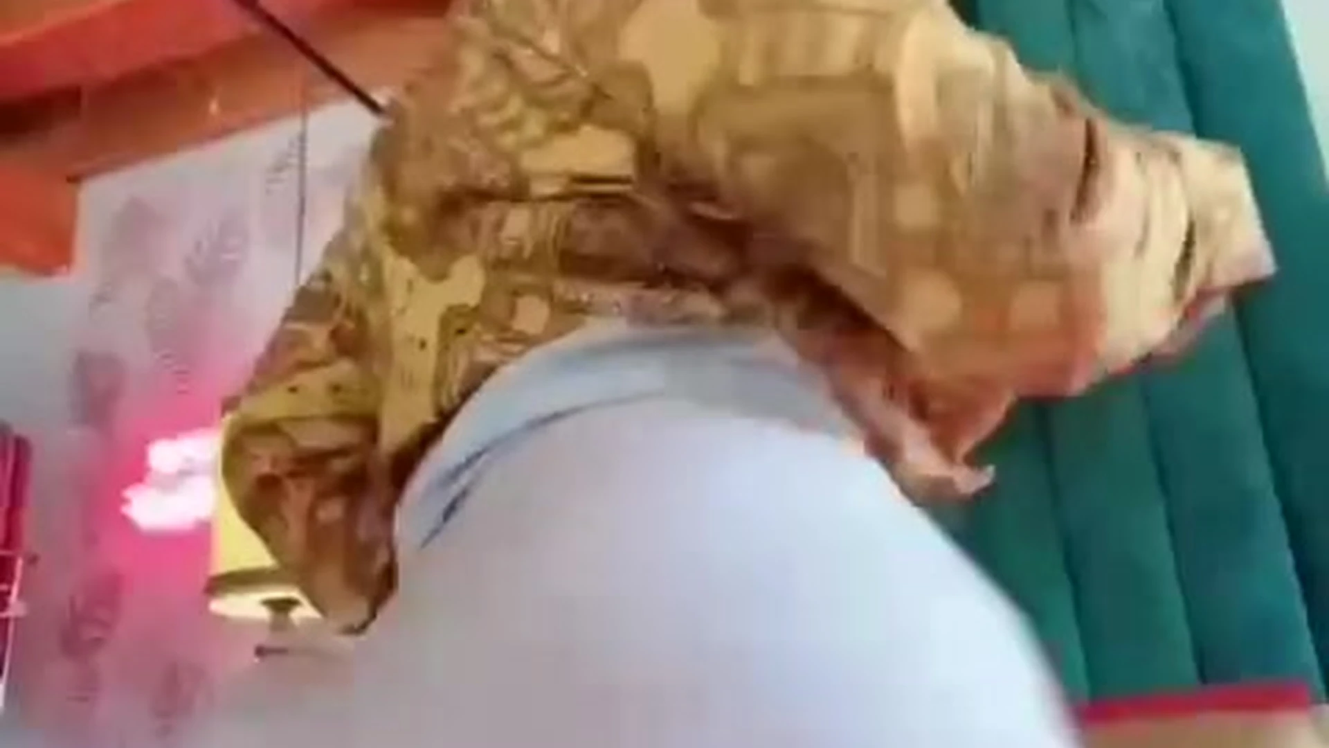 sweet Onlyfans Bishoujomom Leak release Exclusive video full