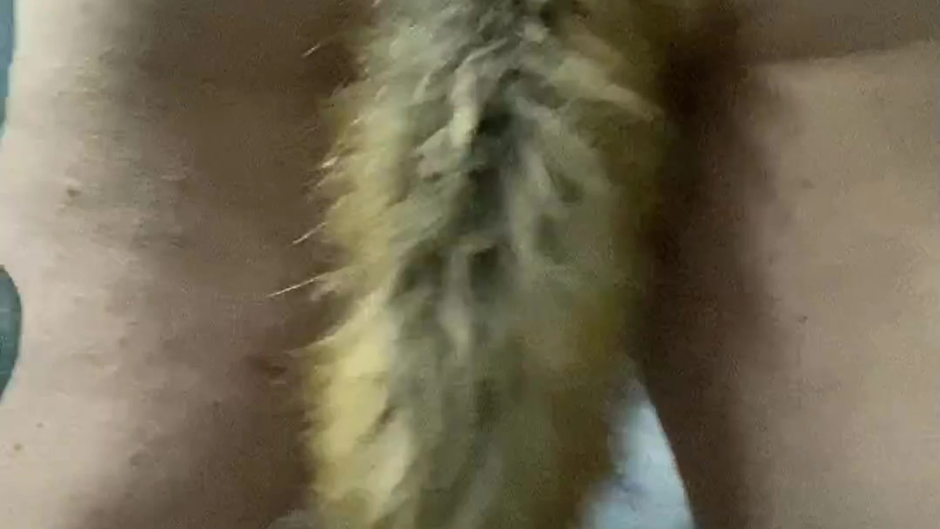 hirsute Vanth Inkfit bg Sensational