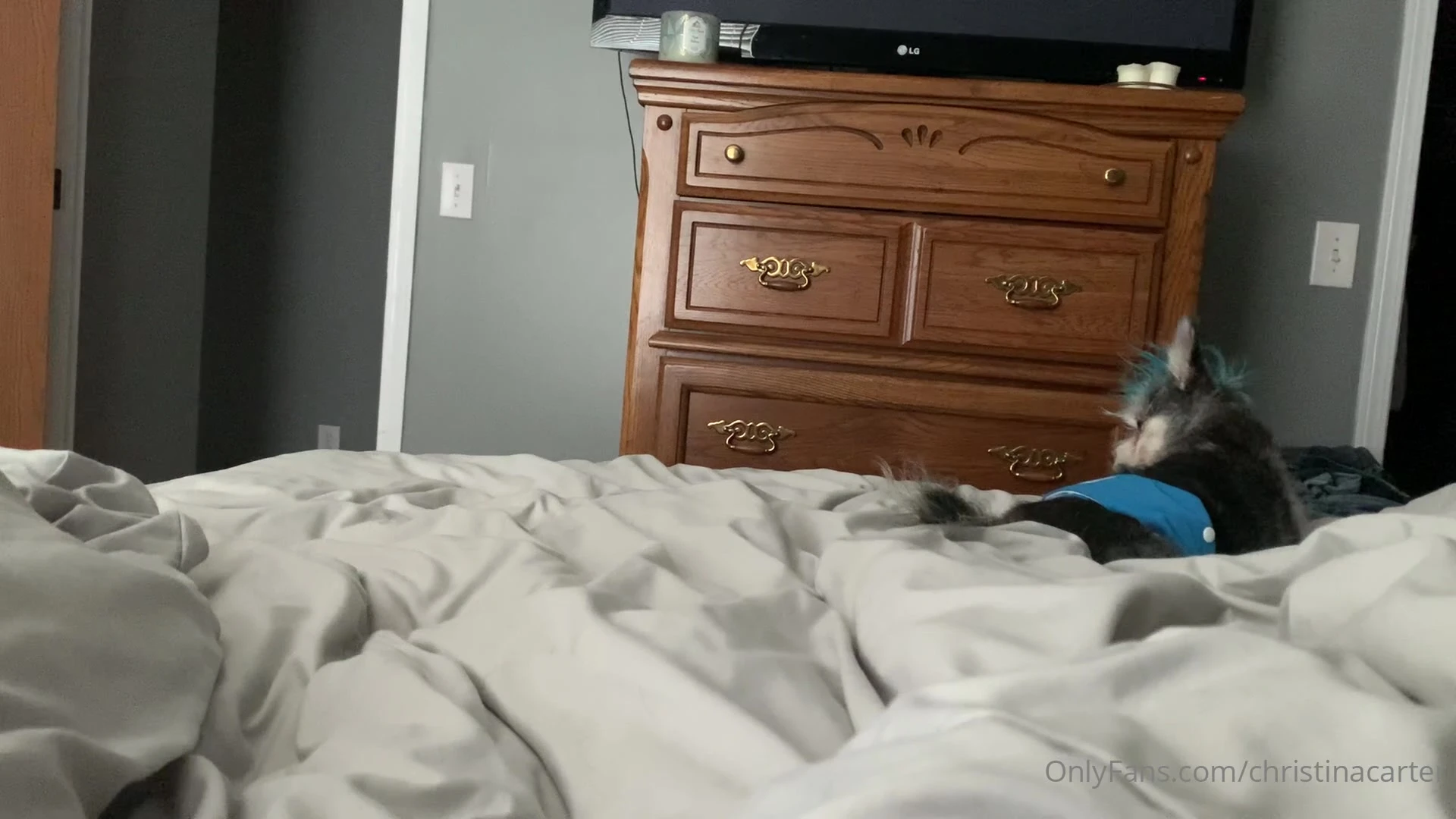 Christina Carter blowjob Sensational