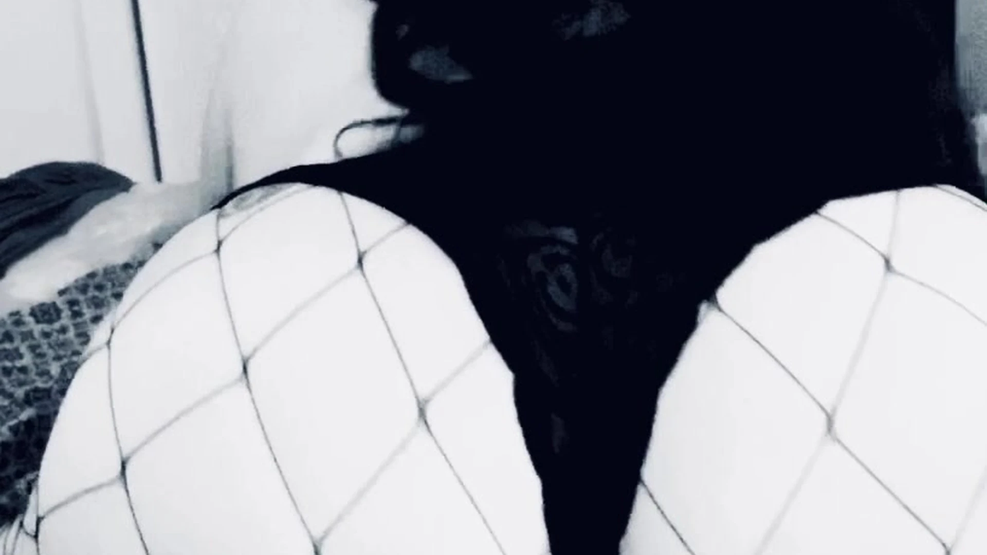 Aria Jane blowjob