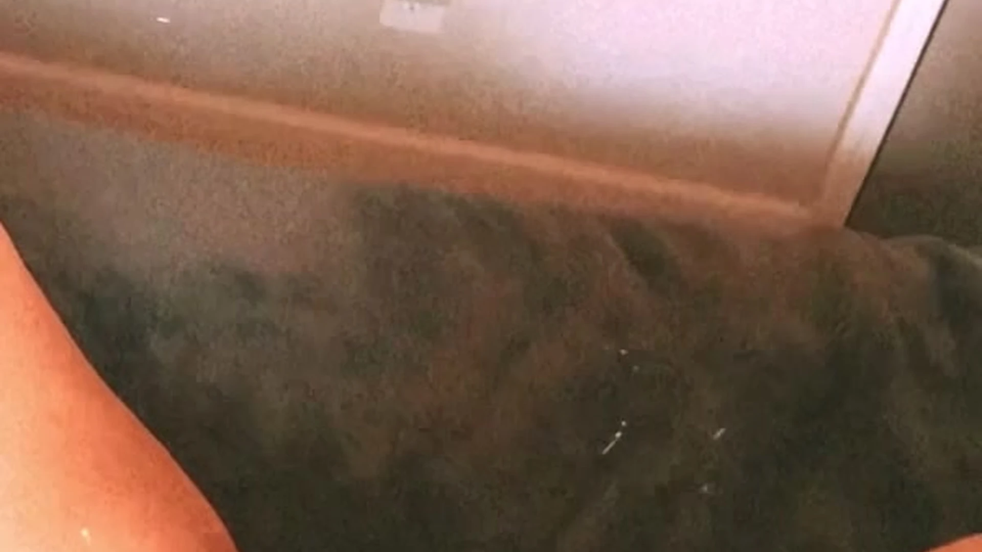 Spicyxgf instagram