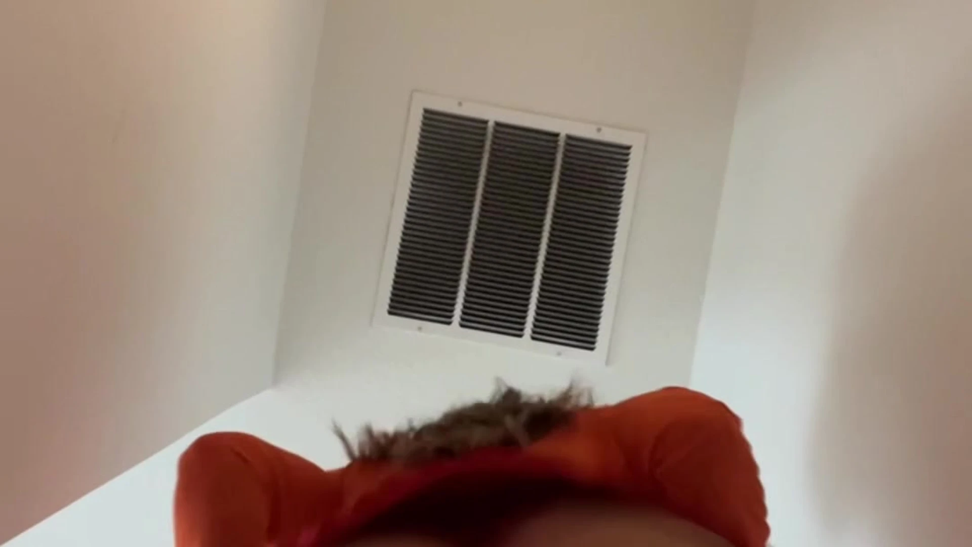 better Big Ass Alinaxrose XXX Video Exposed
