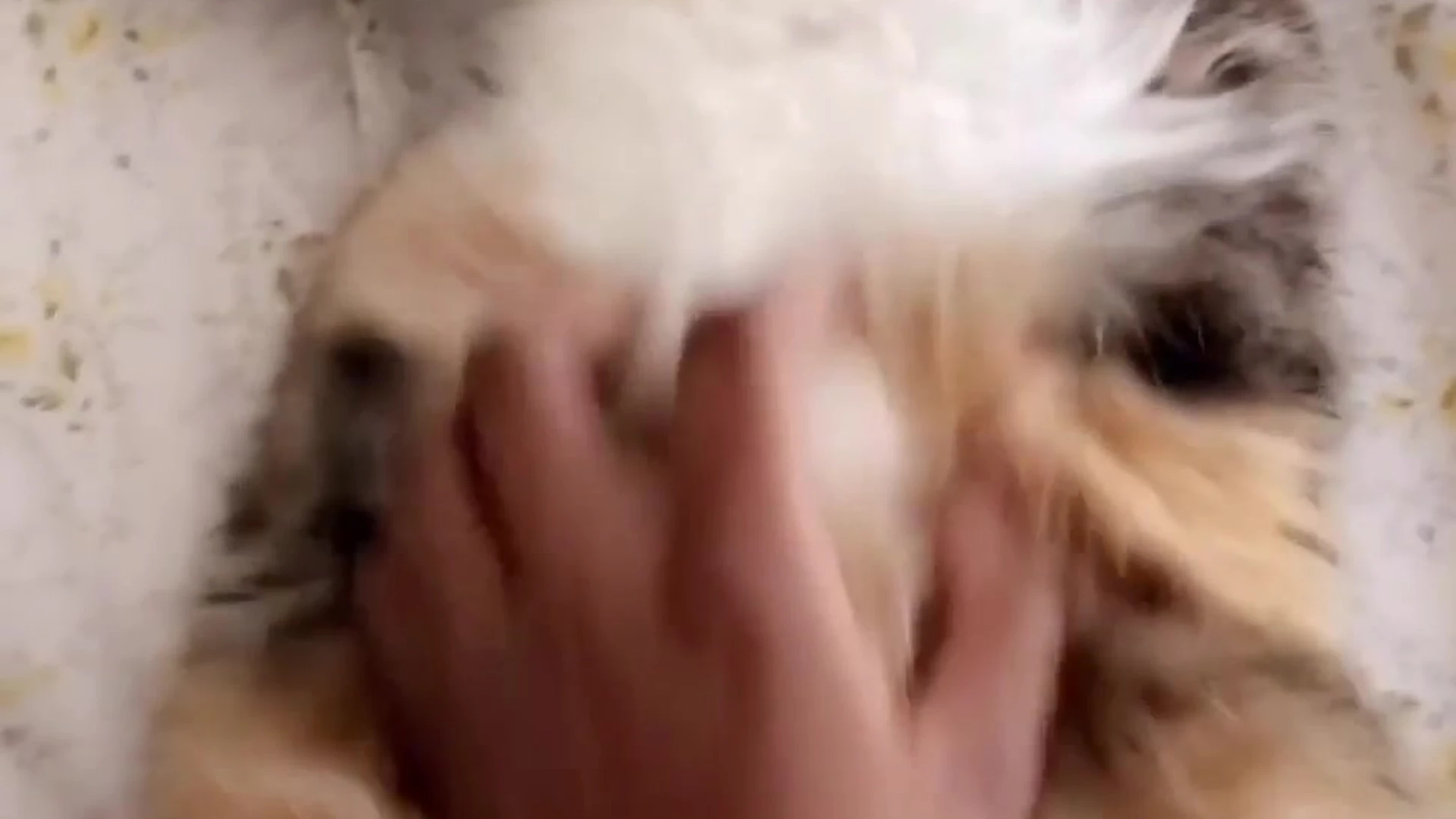 cum dumpster black kayyybear leaked PRIVATE Sensational